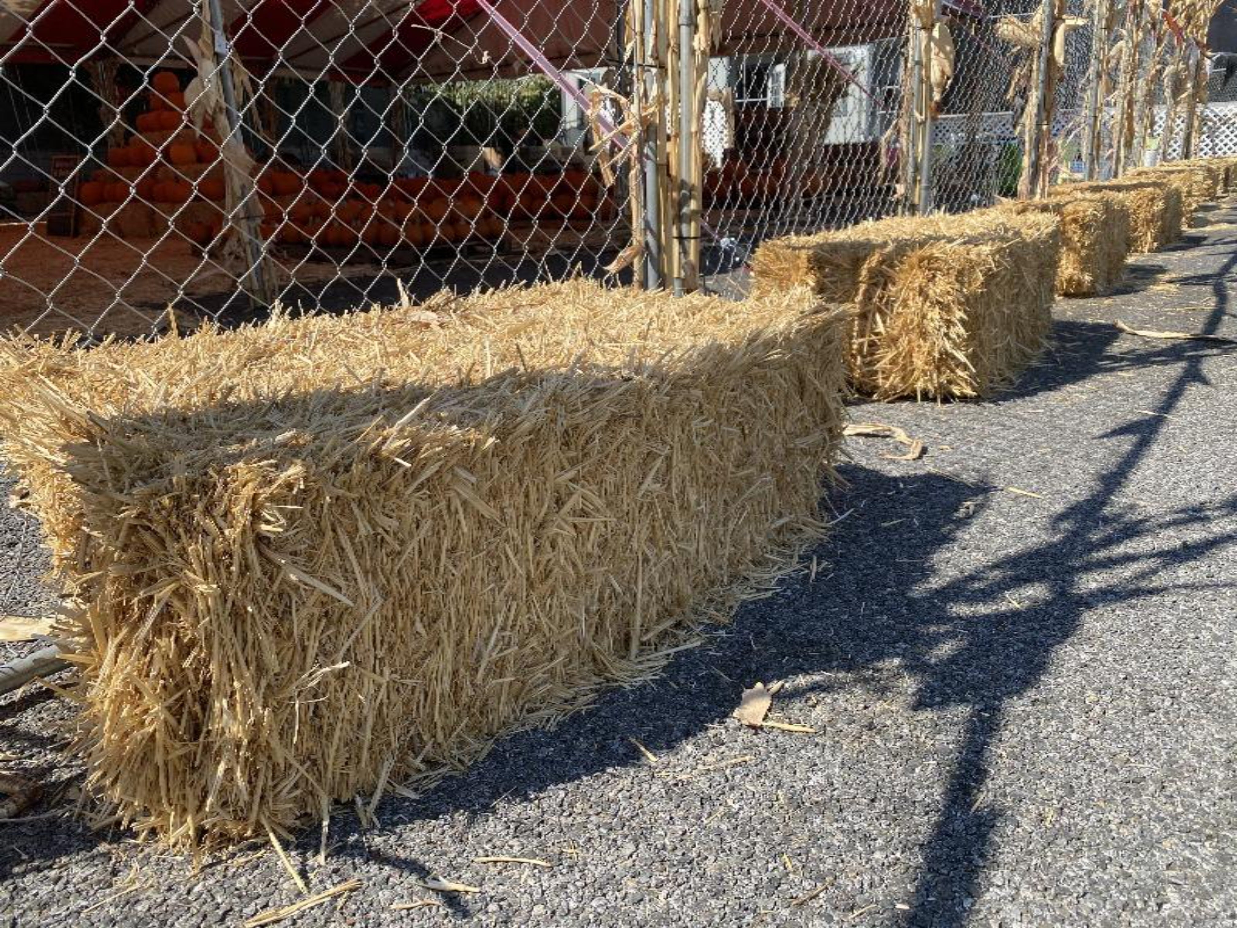 Hay Bales - Brea