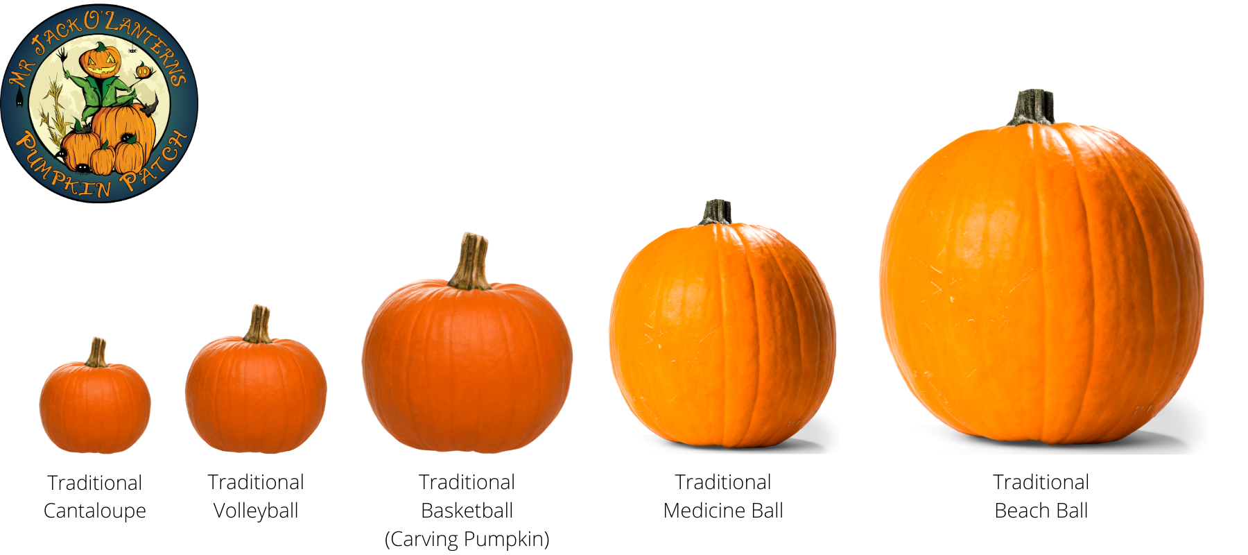 Traditional Basketball (Carving Pumpkin) - Brea